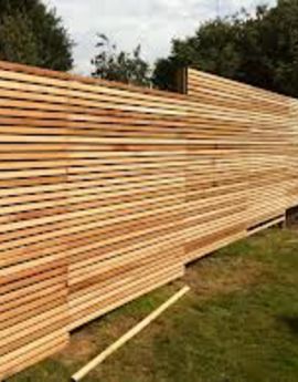 larch strips